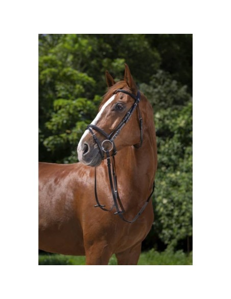 Bridon Riding World muserolle combinée