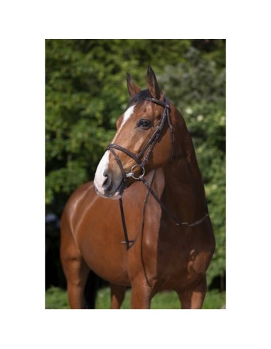 Bridon Riding World muserolle combinée