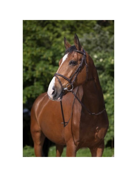 Bridon Riding World muserolle combinée