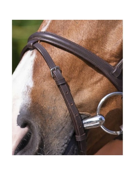 Bridon Riding World muserolle combinée