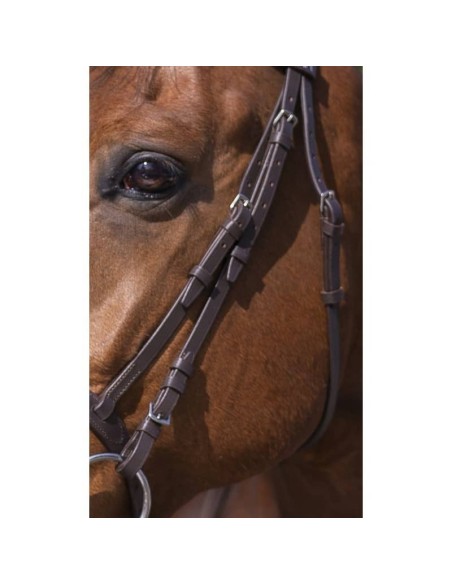Bridon Riding World muserolle combinée