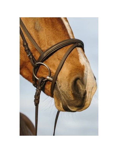 Bridon Riding World muserolle combinée double