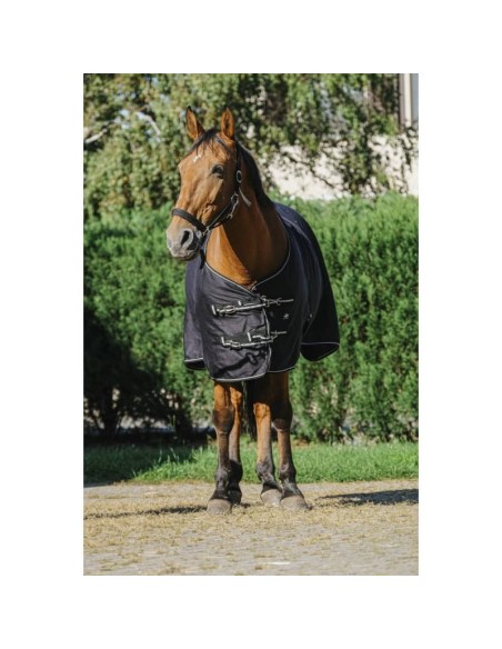 Chemise brillante Riding World