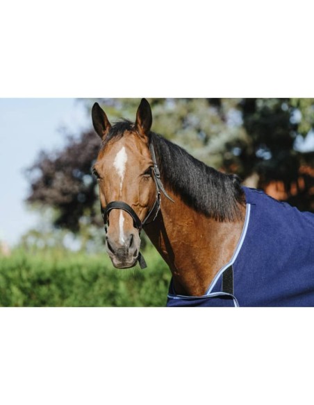 Chemise de présentation Riding World