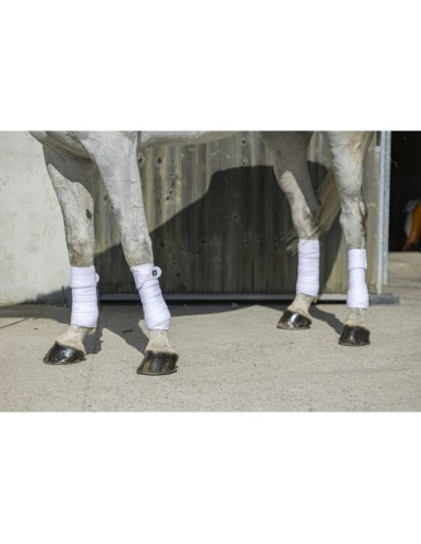Bandes de polo Riding World Eco