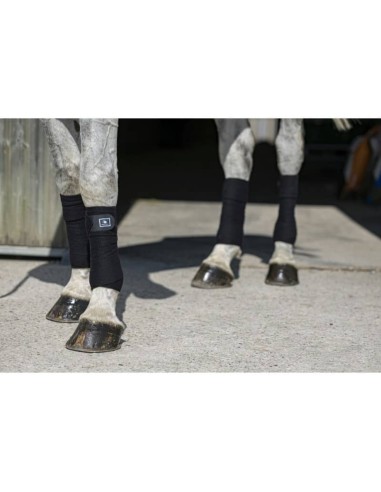 Bandes de polo Riding World Eco