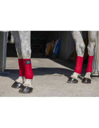 Bandes de polo Riding World Eco