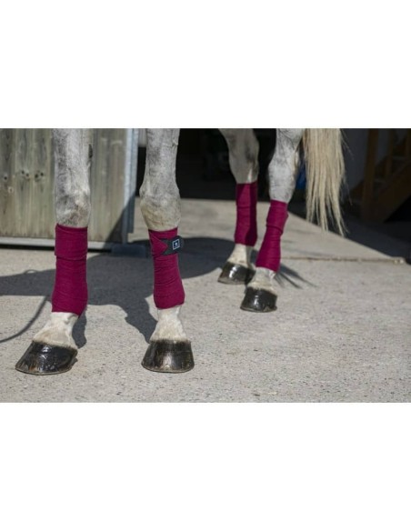 Bandes de polo Riding World Eco