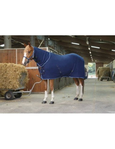 Chemise polaire Riding World combo