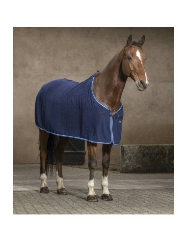 Chemise Riding World éponge