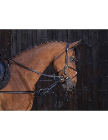 Enrênement caoutchouc Riding World