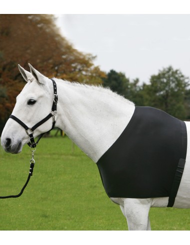 Protection de Poitrail et d'épaule Lycra Comfort Waldhausen