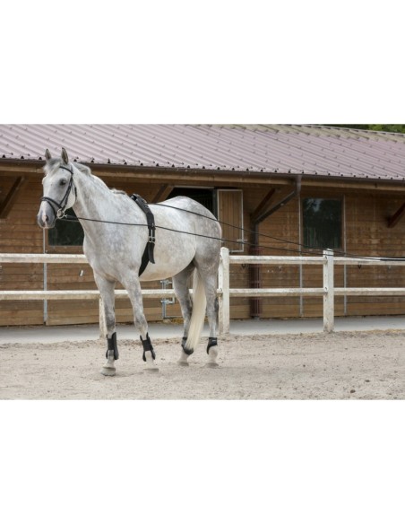 Longues rênes Riding World cuir/corde