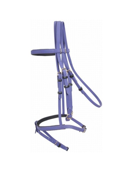 TdeT Bridon Biotack luxe  Violet