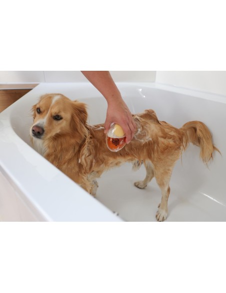 MagicBrush Brosse de bain pour chien