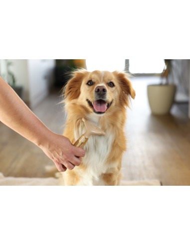 MagicBrush Peigne pour sous-poils chien