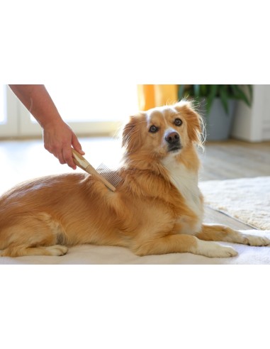 MagicBrush Peigne pour chien