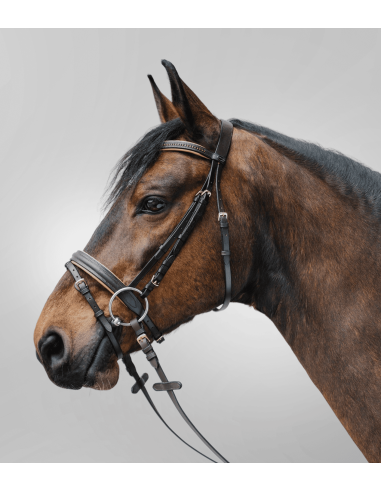 Bridon Diamond Star Waldhausen
