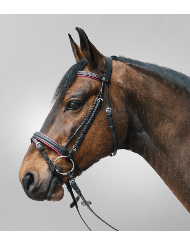 Bridon Diamond Star Waldhausen