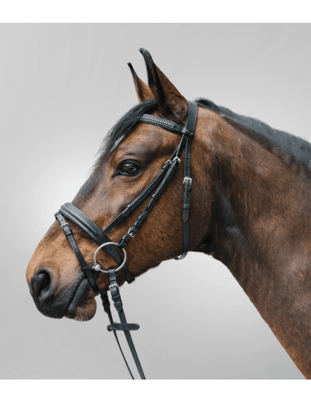 Bridon Diamond Star Waldhausen