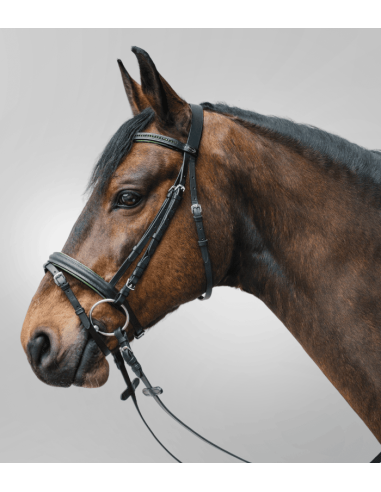 Bridon Diamond Star Waldhausen
