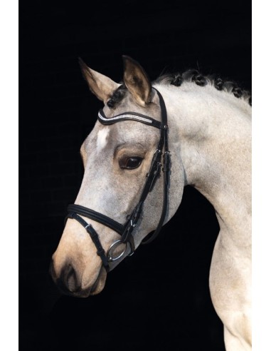 Bridon Little Star HKM