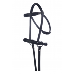 Bridon  Bitless Hobby Horsing