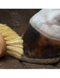 Brosses à sabot N'Class bois et fibres naturelles