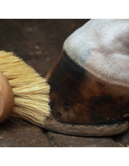 Brosses à sabot N'Class bois et fibres naturelles