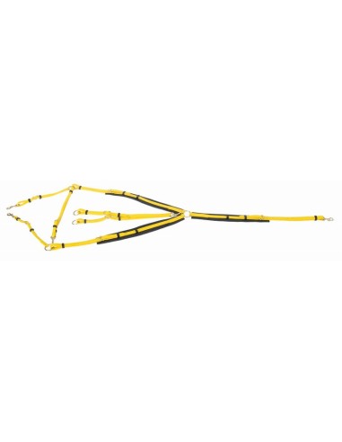 TdeT Collier de chasse Biotack Jaune