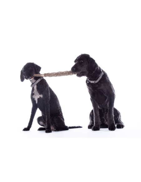 Jouet pour chien Buddy Knot Bone