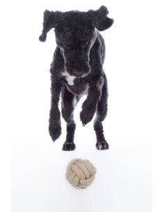Balle tressée pour chien Jouet Buddy Knot Ball 2