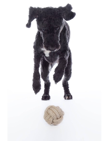 Balle tressée pour chien Jouet Buddy Knot Ball