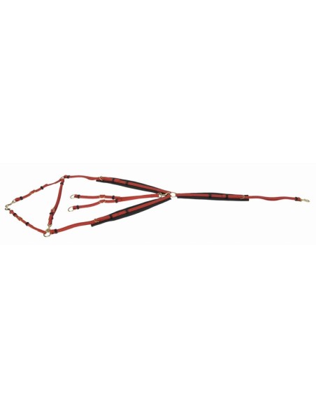 TdeT Collier de chasse Biotack Rouge