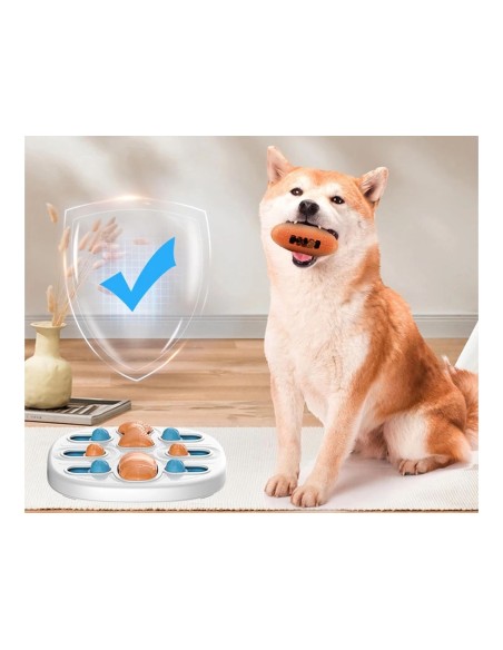 Jeu logique éducatif pour chien