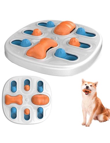 Jeu logique éducatif pour chien