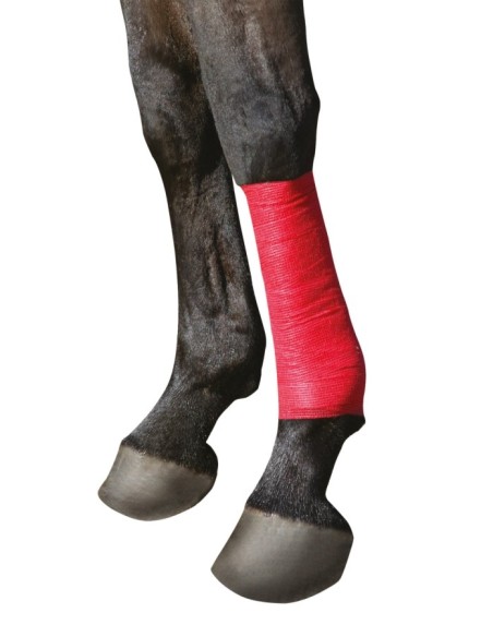 Bande de soins et de contention cohésives Big-Flex