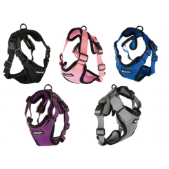 Kit harnais sans pression + laisse pour chien