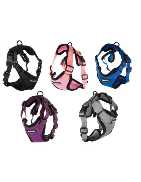 Kit harnais sans pression + laisse pour chien