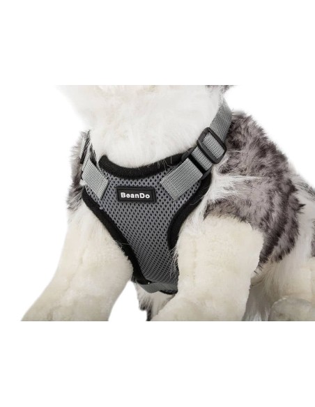 Kit harnais sans pression + laisse pour chien