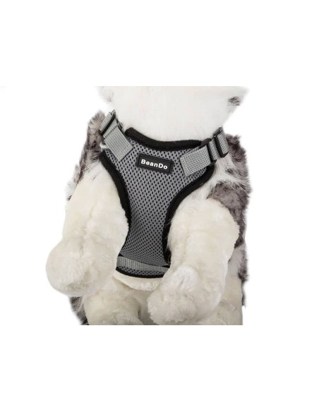 Kit harnais sans pression + laisse pour chien