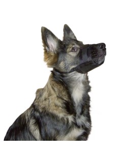 Muselière en nylon pour chien