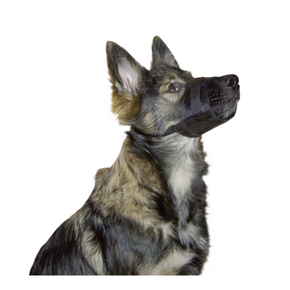 Muselière en nylon pour chien