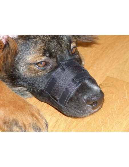 Muselière en nylon pour chien