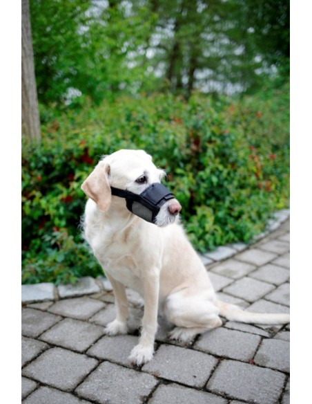 Muselière en nylon pour chien