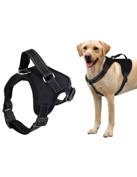Harnais pour chien solide et sans pression chien moyen avec laisse