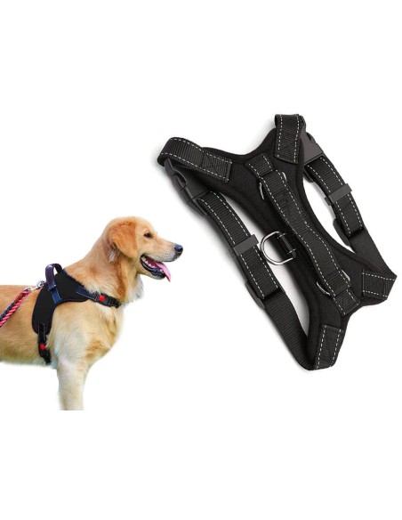 Harnais pour chien solide et sans pression chien moyen avec laisse