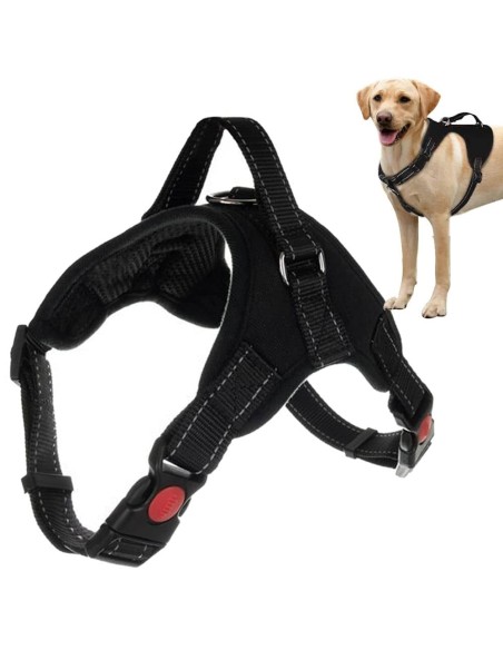 Harnais pour chien solide et sans pression chien moyen avec laisse