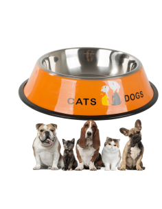 Gamelle pour chien chat antidérapante en métal avec inscriptions