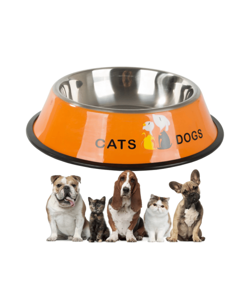 Gamelle pour chien chat antidérapante en métal avec inscriptions